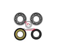 653.100200750 KIT REVISIONE BANCO VESPA 50 SKF CUSCINETTI + PARAOLI BANCO