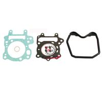 653.100689210 GUARNIZIONI SMERIGLIO SCARABEO 125 ROTAX 99/02