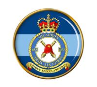 653 Squadron Aac , Britannico Militare Spilla