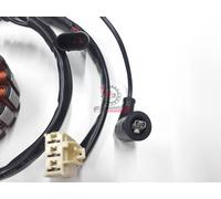 655.58202R-7 58202R STATORE VOLANO MAGNETE VESPA GTV 300 2010-2013 ORIGINALE ...