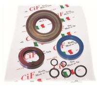 6653-V SERIE PARAOLI MOTORE VESPA PK 50 XL CON PARAOLIO IN VITON