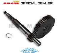 6711602 INGRANAGGI RAPPORTI PRIMARI MALOSSI Z 14 / 48 APRILIA SR MOTARD 50 2T EU