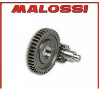 6714774 INGRANAGGI RAPPORTI SECONDARI MALOSSI Z 15 / 42 MALAGUTI F12-PHANTOM 50