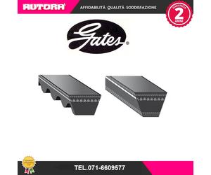 6736ES Cinghia trapezoidale (MARCA-GATES)