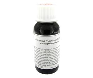67S ECHINACEA PURP COMP 60 LVS