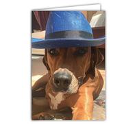 68-4016 - Biglietto fotografico grande cane marrone con un simpatico cappello animale, formato chiuso, 17 x 11,5 cm, interno bianco per scrivere il tuo messaggio, fornito con una busta, creato e