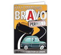 68-5003 Biglietto Bravo Congratulazioni PERMIS B Guida Auto Auto Auto Argento Lucido con Busta 12 x 17,5 cm Riesame Codice 18 anni Maggioranza Strada Libertà Creazione Stampa Fabbricazione Francese