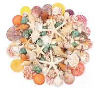 680g Conchiglie di Mare Miste 130+ Vari Tagli Natura Conchiglie Decorative Stelle Marine Oyster Shells Oceano Seashells per Fish Tank Vaso Fillers Beach Tema Party Matrimoniali DIY Home Decorazioni