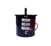 68KTYZ Permanent Magnetic Synchronism electronic starter 220V AC 28W Gear electronic starter 50Hz Synchronous Low Speed Reversible NWPNLXEA(110rpm)