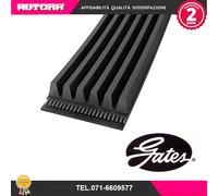 GATES 6DPK1698 Cinghia servizi Cinghia Poly-V Cinghia alternatore Cinghia dei servizi