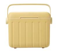 6L Cool Box - Borsa termica estiva da campeggio, secchiello per il ghiaccio portatile per picnic, grill, campeggio, pesca, spiaggia, bevande