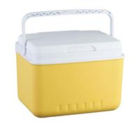 6L Outdoor Campeggio Refrigeratori Ice Box Isolato Cassa di Ghiaccio Auto Frigorifero Incubatore Outdoor Hard Coolers Facile da Usare Bevande Cibo Incubatore Termico