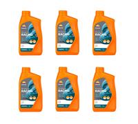 6LT OLIO MOTORE SINTETICO 2 TEMPI REPSOL RACING API TC ISO L-EGD TISI 1040