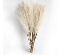 6PCS Artificial Pampas Grass Decor Flowers Fake Plant Reed for DIY Floral Table Arrange Flower Wedding Home Christmas Decoration RD5