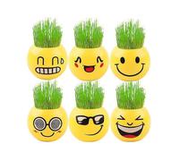 6pcs Planter Smiley Face for Home And Garden Decoration