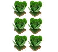 6pcs Plastic Crafts Cavolo Modellazione Giocattoli di simulazione Cavolo