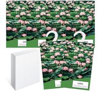 6pcs Profuma Armadio Vestiti, Profumatori Armadio e Cassetti, Profumatore Auto, Profumo Aromi Sacchetti Lavanda Profumati per Armadio Cassetti Armadietti, Scarpiera Deodorante Armadio (Lotus)