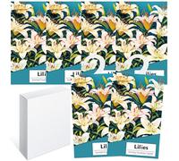 6pcs Profuma Armadio Vestiti, Profumatori Armadio e Cassetti, Profumatore Auto, Profumo Aromi Sacchetti Lavanda Profumati per Armadio Cassetti Armadietti, Scarpiera Deodorante Armadio (Giglio)