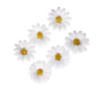 6PCS Sole Fiore Clip di Capelli Per Adulti Bambini Bellis Barrettes Duckbill Clip Dei Capelli Estetica Pin Molla Semplice Clip Laterale