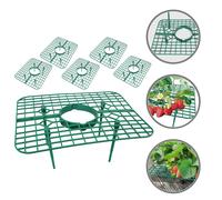 6pcs Thopent di fragole Strawberry Supporta le rastrelliere di fragole per