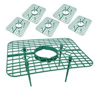 6pcs Thopent di fragole Strawberry Supporta le rastrelliere di fragole per