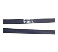6PH1965 Cinghie For Lavatrice O Asciugatrice, 1965 Mm 6ph/6ph1965/1965h6/481235818186