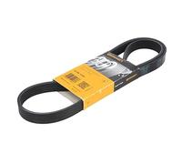 Cinghia a V CONTINENTAL 6PK1220