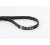 Cinghia Poly-V - CONTINENTAL CTAM 6PK1370