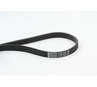 6PK1548 Cinghia Poly-V Continental Ctam