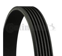 6PK1570 CONTINENTAL CTAM Cinghia Poly-V per AUDI,BMW,CHRYSLER,DODGE,FORD,KIA,SEA