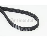 Cinghia Poly-V CONTITECH 6PK1660