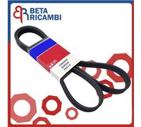6PK1705 Cinghia Servizi Ford Fiesta 5 Fusion 1.4 TDCi Doblo 1.6 Multijet c/Clima