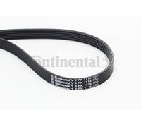 6PK1715 CONTINENTAL CTAM Cinghia Poly-V per BMW,CHEVROLET,CITROËN,DODGE,FORD,FOR