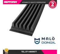 6PK1830 Cinghia Poly-V (MARCA DONGIL).