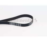 6PK1836 CONTINENTAL CTAM Cinghia Poly-V per ALFA ROMEO,BMW,CHEVROLET,DAEWOO,FIAT