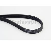 6PK1840 CONTINENTAL CTAM Cinghia Poly-V per MAZDA,TOYOTA