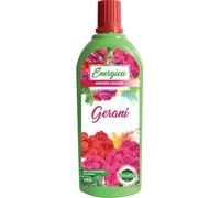 6PZ CONCIME LIQUIDO GERANI ENERGICA KG 1