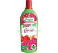 6PZ CONCIME LIQUIDO GERANI ENERGICA KG 1: