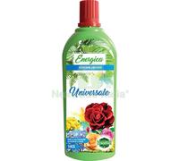 6PZ CONCIME LIQUIDO UNIVERSALE ENERGICA KG 1: