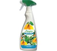 6PZ CORROBORANTE SAPONE MOLLE SPRAY ENERGICA ML 500