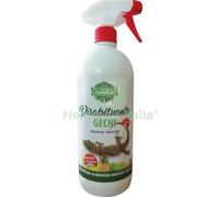 6PZ DISABITUANTE GECHI SPRAY ENERGICA LT 1: