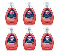 6pz Dual Power piatti gel concentrato aloe & melograno 1000ml