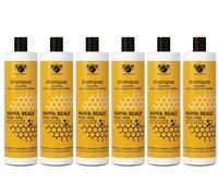 6pz Linea Italiana COE SHAMPOO PAPPA REALE NUTRIENTE CAPELLI CON FORFORA 500ml