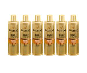 6pz Pantene Miracle shampoo rigenera & protegge cheratina capelli danneg. 250 ml