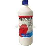 6PZ REGOLATORE PH PIU X PISCINA LAPI LIQUIDO LT 1: