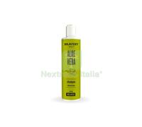 6PZ SHAMPOO DOG BRAVERY 300 ML WELLNESS ALOE VERA: