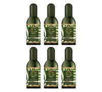6pz Tesori D'Oriente Thai Spa profumo aromatico 100ml