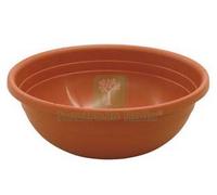 6PZ VASO CIOTOLA CLIVIA Ø CM.35X13H.: