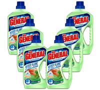 6x 750ml Der General Detergente Universale Sensitive Aloe Vera Ph Neutral Nuovo