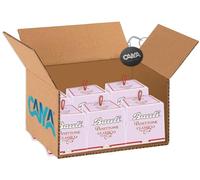 6X Bauli Mini Panettone Classico Soffice con Uvetta e Canditi 90g [CAIYA® BOX da 6 Confezioni]